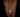 Collana Blessed full pavè